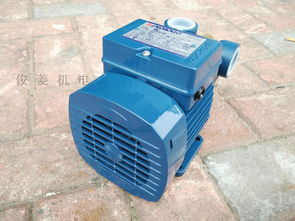 高效節能，卓越耐用 PQM60抽油泵的卓越性能解析